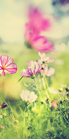 The Magic of Spring - Exhibition