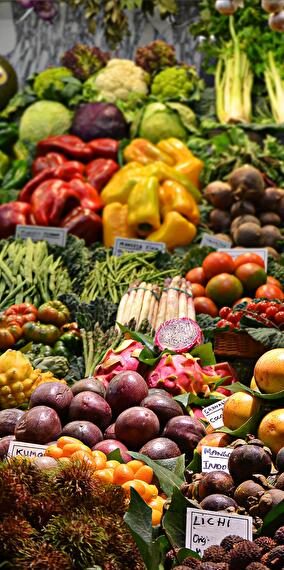 Kass-Haff Organic Vegetable Market - Every Friday