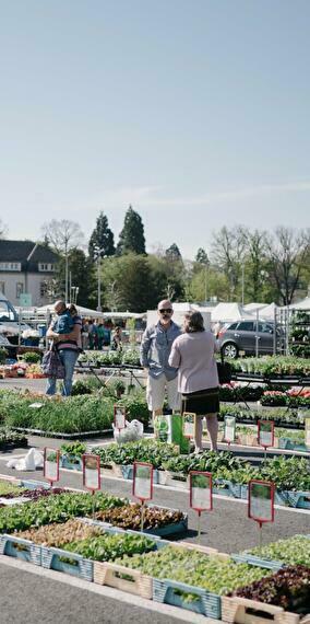 Viens faire un tour au Glacismaart