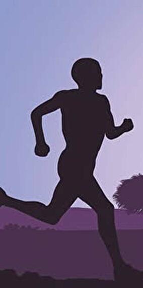 Run for the Wild