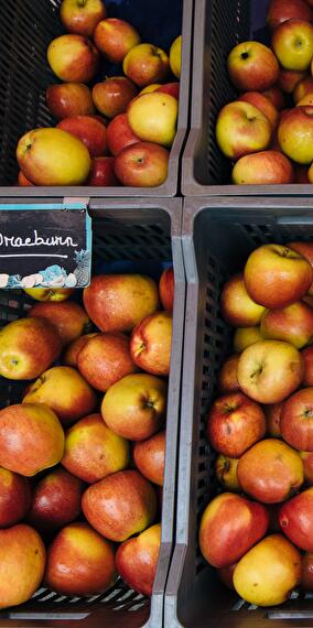 Kass-Haff Organic Vegetable Market – Every Friday!