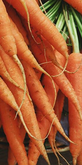 Organic Vegetable Market at Kass-Haff – Every Friday!