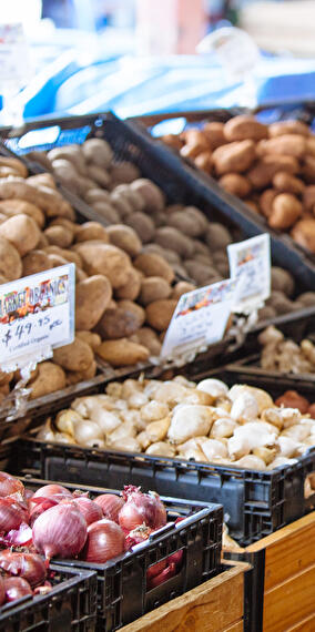 Kass-Haff Organic Vegetable Market – Every Friday!