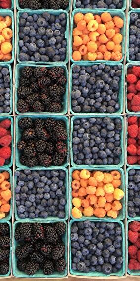 Kass-Haff Organic Vegetable Market – Every Friday!