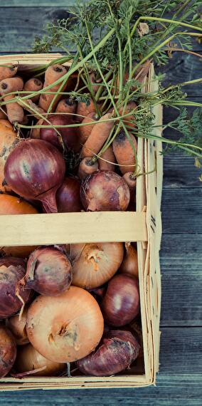 Organic vegetable market at Kass-Haff