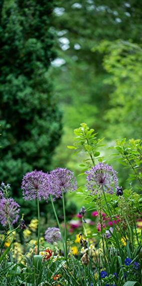 LUGA - Exhibition of urban gardens, temporary installations and agricultural projects