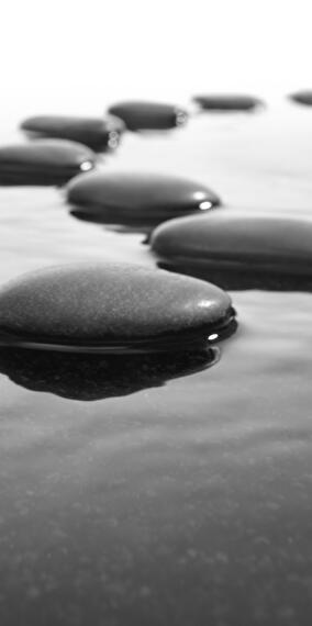 Reconnection with Self and Earth: Workshop