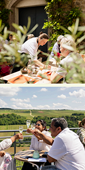 Domaine Viticole Max-Lahr & Fils - Wine Taste Enjoy