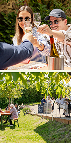 Caves Berna - Wine Taste Enjoy