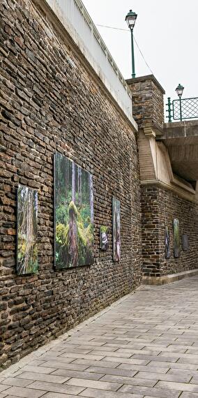 Exhibition - Sunousia by Letizia Romanini