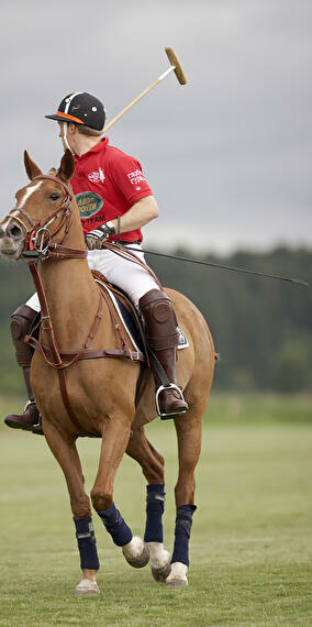 7TH international polo cup