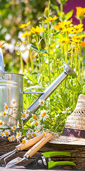 Atelier Kids:  Atelier Cactus