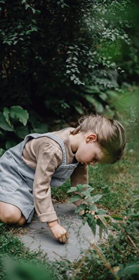 Atelier Kids: Plantes cailloux et autres plantes grasses