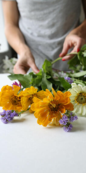 Teen/Adult Workshop: Take a Seed