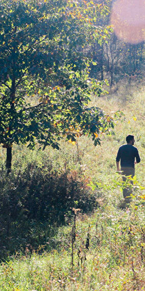 Hiking - musical walk in the forest