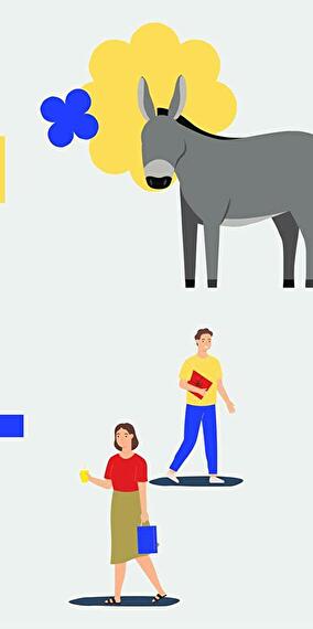 Donkey Festival in Diekirch