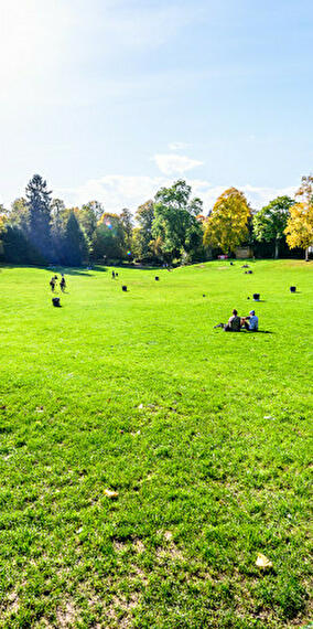 Let's celebrate the 4th of July with a picnic!
