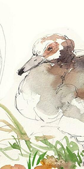 Croquis de la nature urbaine - Atelier (DE)
