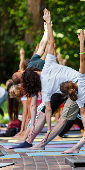 Artful Flow: Yoga at the Pyramid