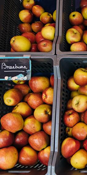 All of Rachecourt in Apples