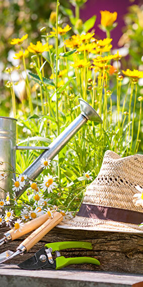 Outdoor picnic
