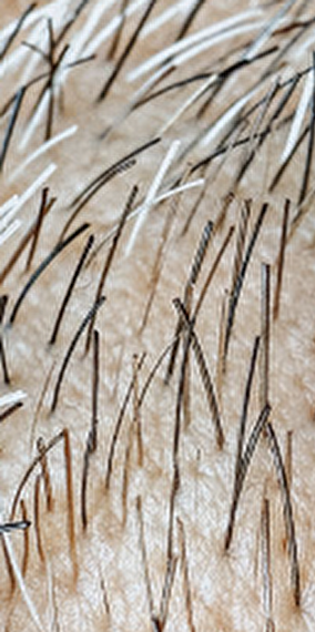 Concert final de l'Académie de Composition de Luxembourg - Rainy days 2025