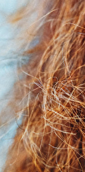 In Annea Lockwood's Piano Garden - Rainy days 2025