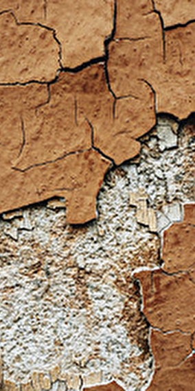 Ligeti Quartet - Rainy days 2025