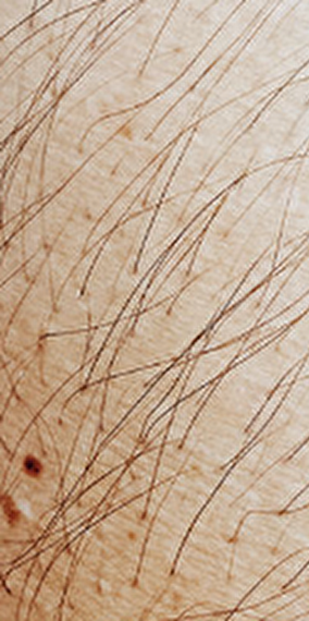 Bruine - Rainy days 2025