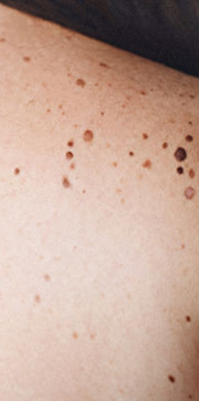 Claudia Molitor - Rainy days 2025