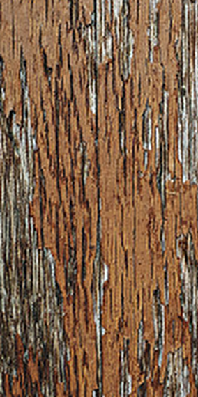 Noise Watchers - Rainy days 2025