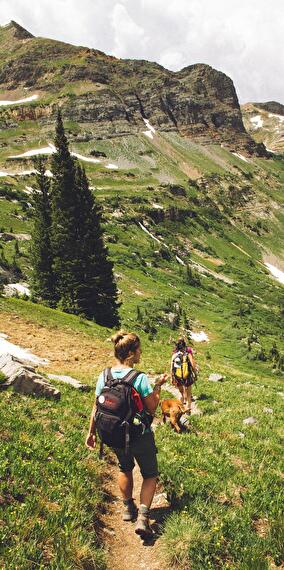 Nordic Walking & Stretching