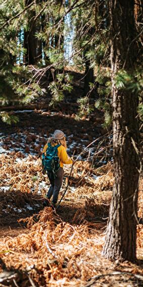Guided Nature Walk - Athus