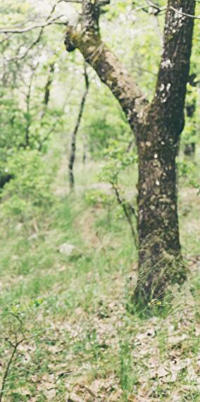 Hiking - Outdoor Activities