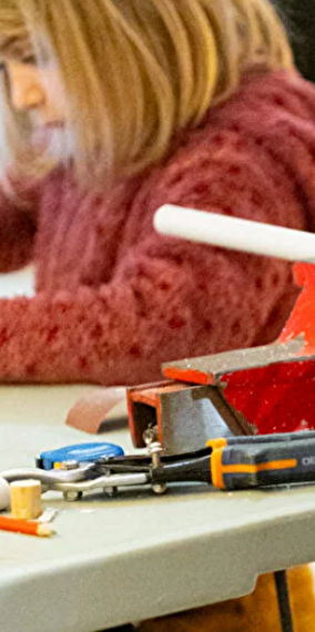 Wild violin making and music course