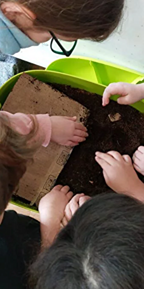 Vermicompost for kids