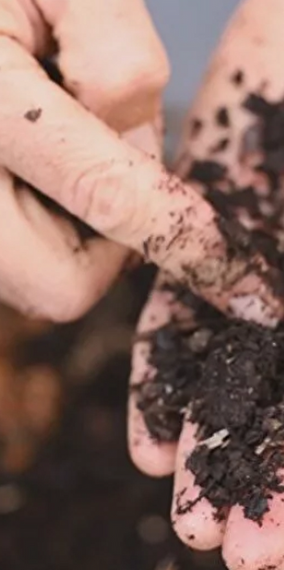 Vermicomposting Made Easy: Turn Your Waste into Life