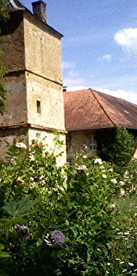 Treasure Hunt: The Sacred Flower of the Fairies