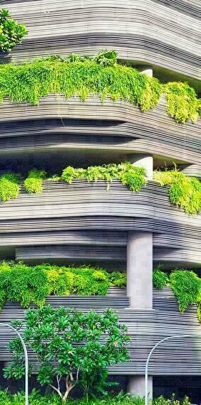 Visit to the Rooftop Greenhouse – Urban Agriculture