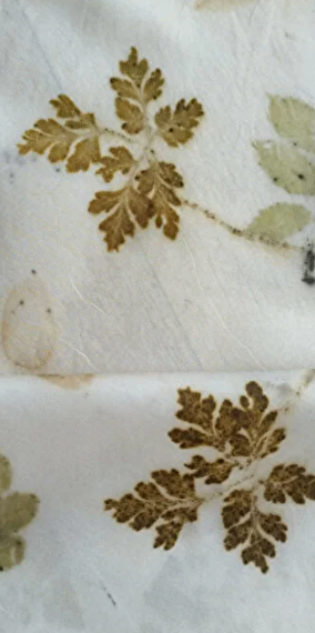 Plant printing workshop