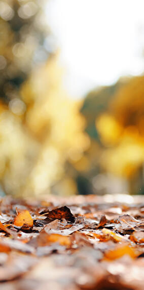 Marche remise en forme