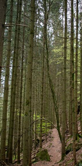 Marche Découverte à travers la commune de Kayl