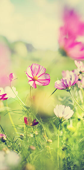 Porte ouverte 50+ Bech