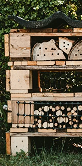 Participatory project: building a biodiversity tower!
