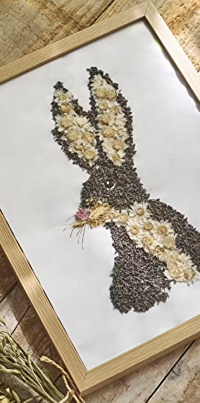 Duo workshop: Animal herbarium