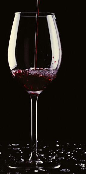Pilates & Wine
