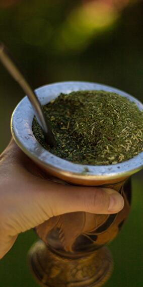 Gyokuro Workshop