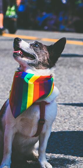 Queer Choir Luxembourg - Rehearsal
