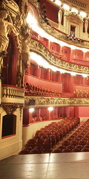 Guided tour of the Philharmonie in English