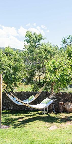 Yoga & Wellness Retreat in Ibiza